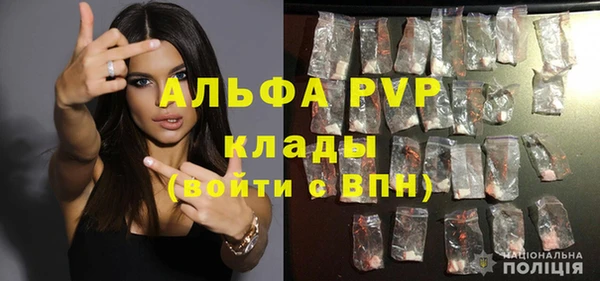 стаф Абинск