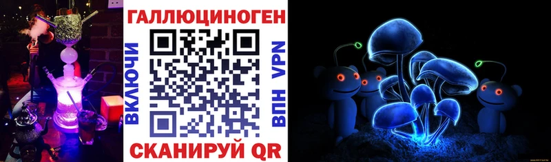 shop какой сайт Алагир Псилоцибиновые грибы мицелий